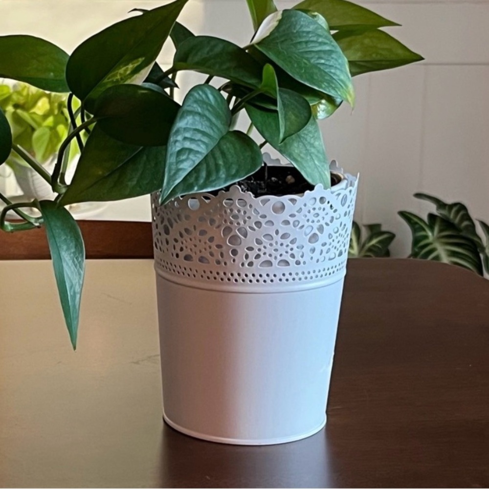 White Lace Patterned Metal Planter